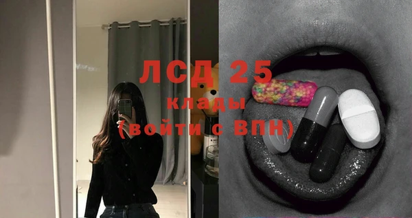 шишки Медногорск
