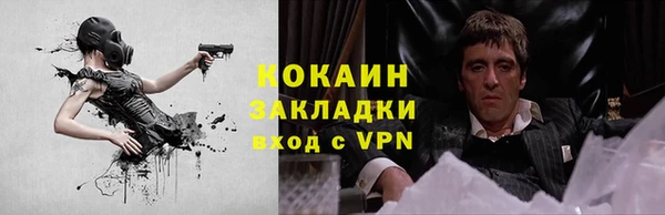 шишки Медногорск
