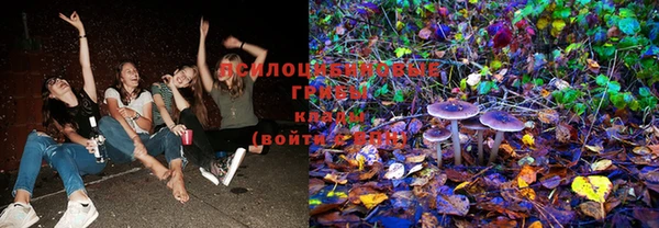 шишки Медногорск