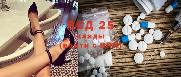 шишки Медногорск