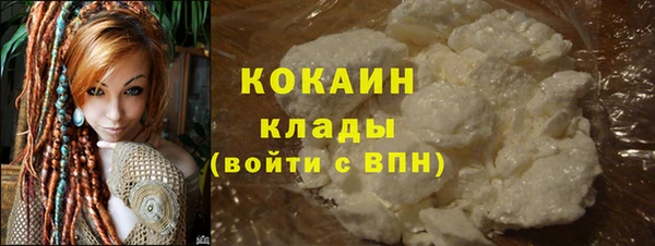 шишки Медногорск