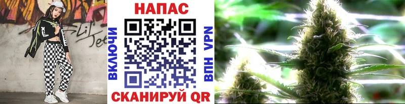 Каннабис MAZAR  дарнет шоп  Тотьма 